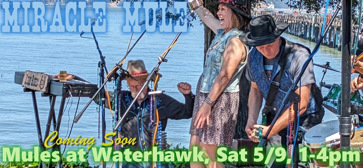 Coming soon:  Mules at Waterhawk Lake Club, Sat. May 9, 1-4pm