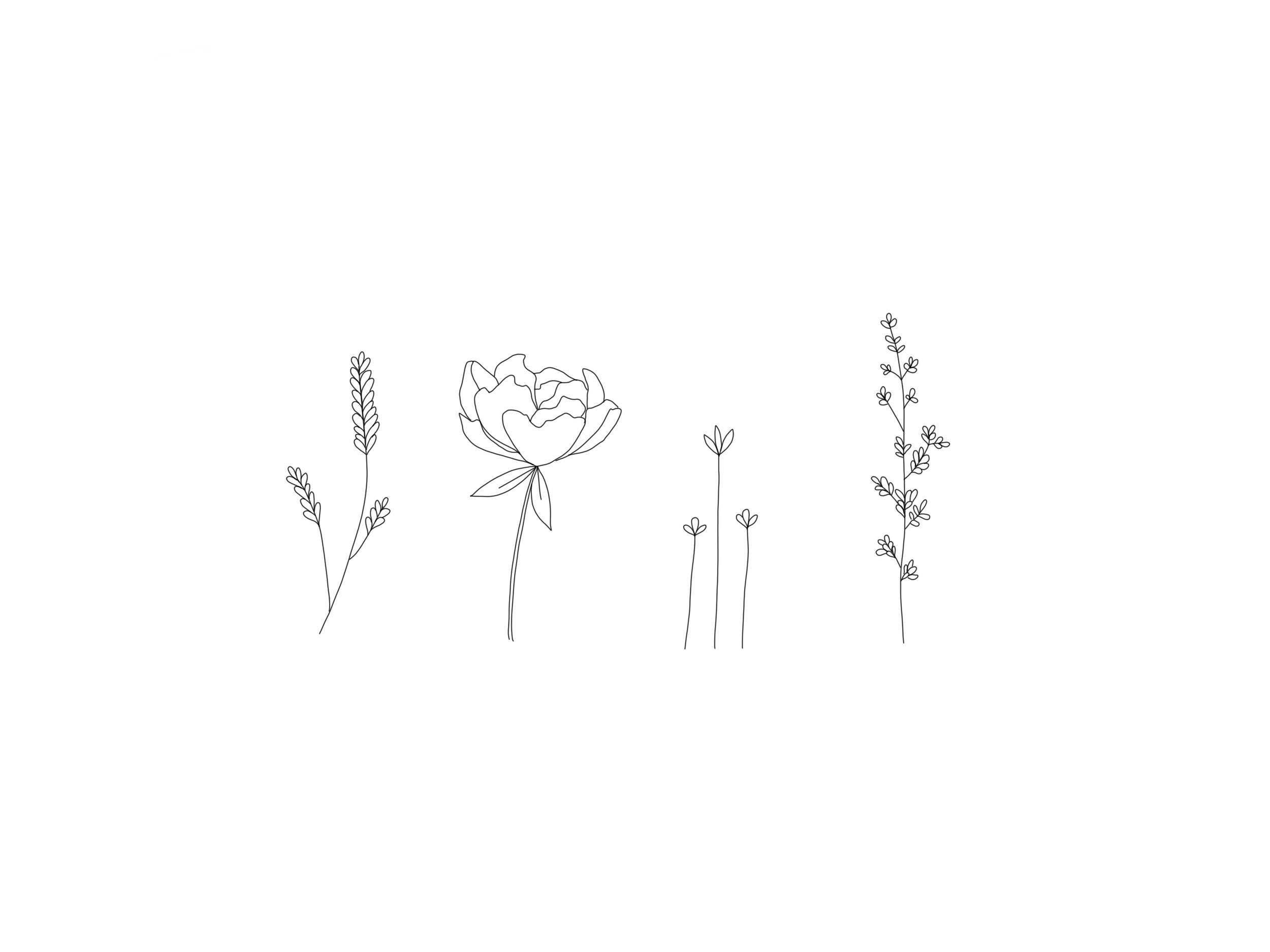 Featured image of post Drawing Flowers On Procreate / The best drawing app for he ipad is procreate.