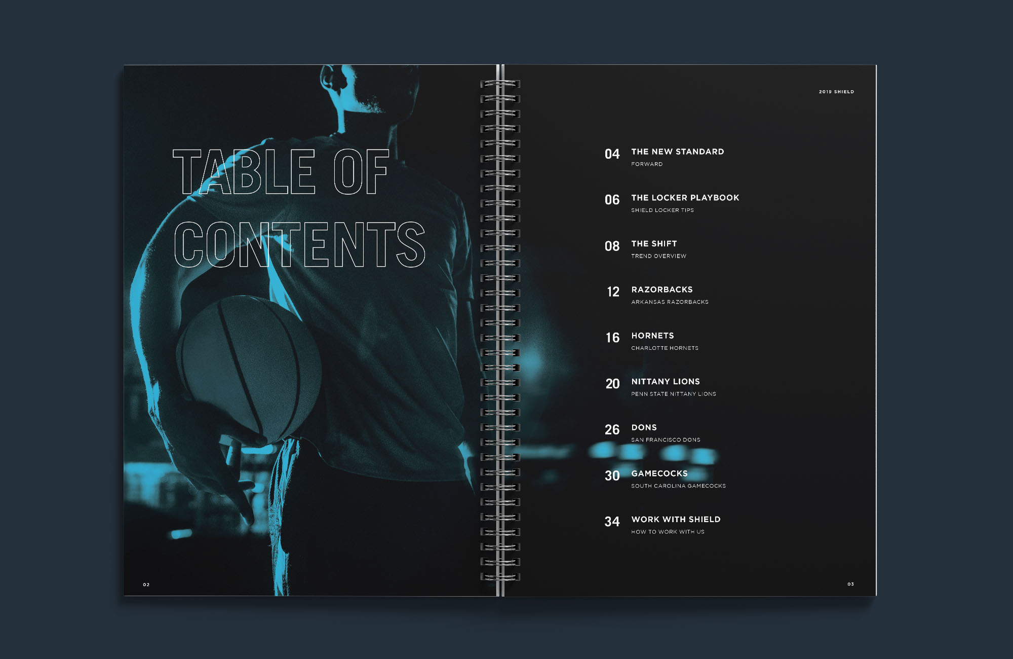 mockup5_blue.jpg