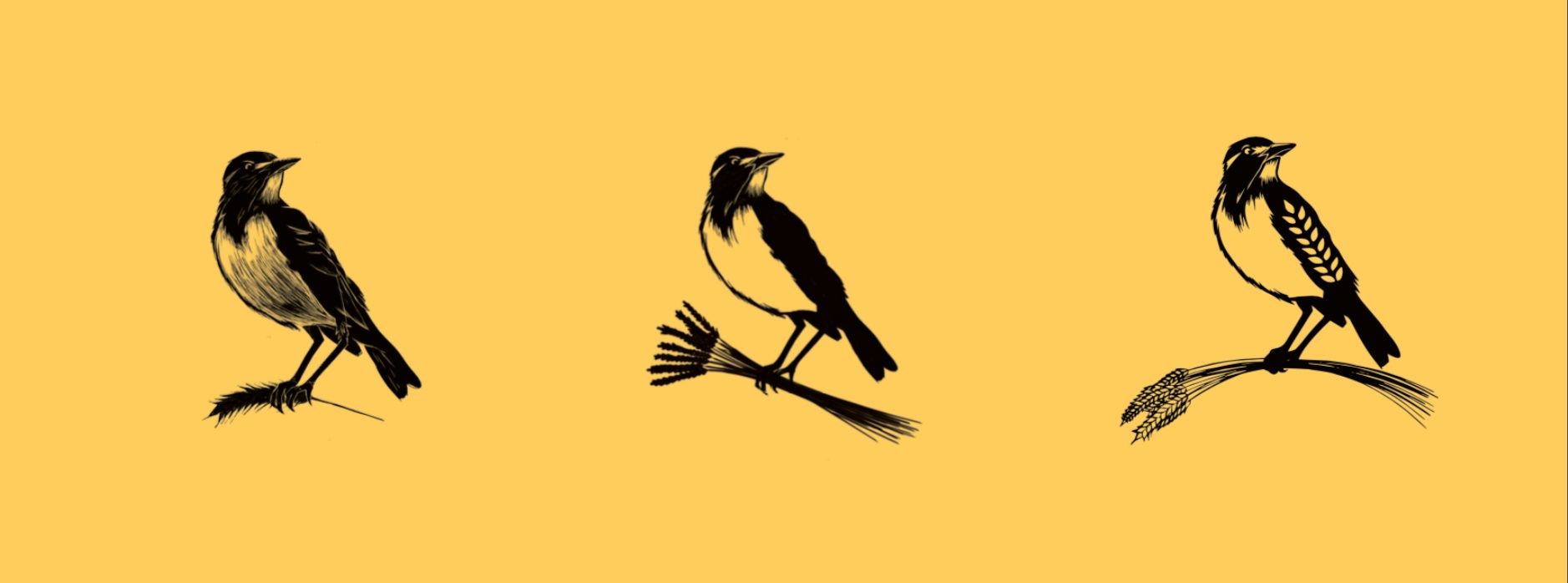 LOGO PROGRESSION: From a hyper-realistic drawing of a bird, to a bird safe to print on signage, but detailed enough to retain its photorealistic quality.
