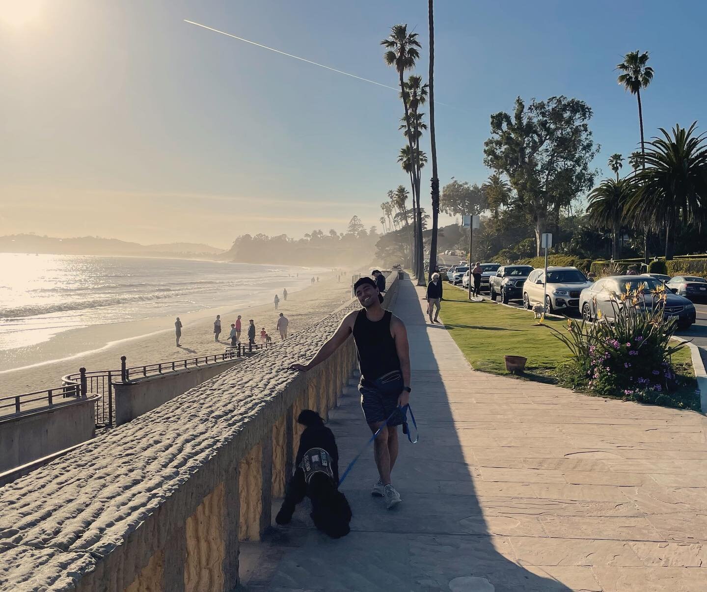 lovely lil vista 🌅🌊🧍🏽🐕&zwj;🦺🌴