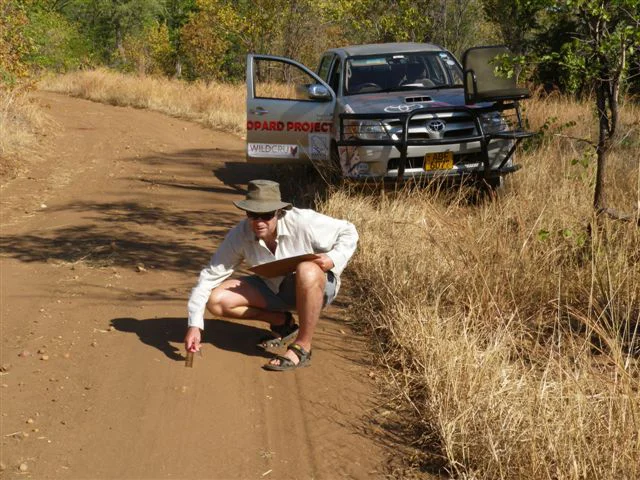 Predator survey Mana Pools.jpg
