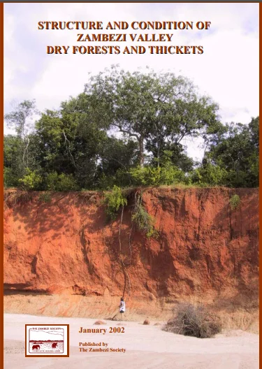 Dry Forests Study.jpg