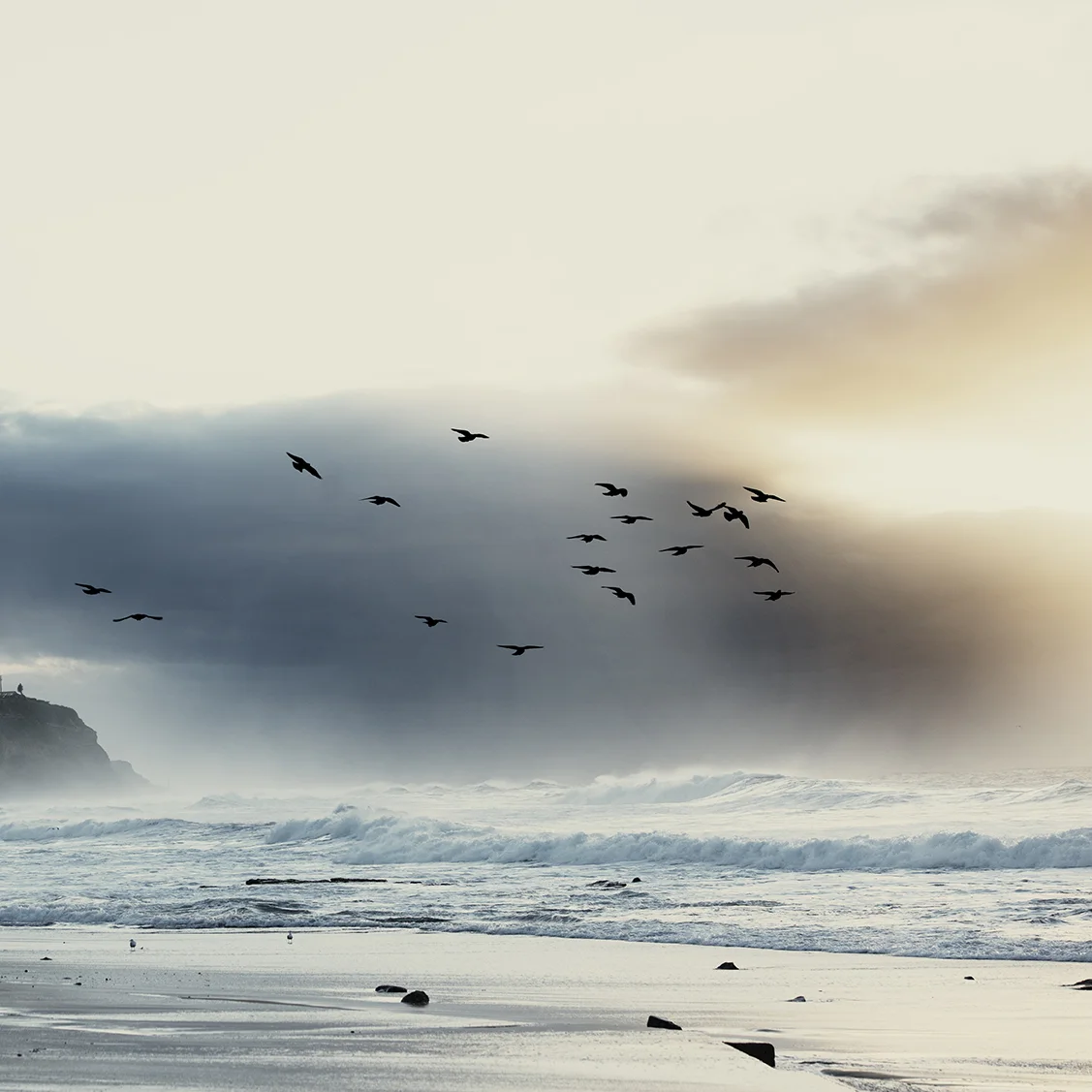 Merewether4704.jpg