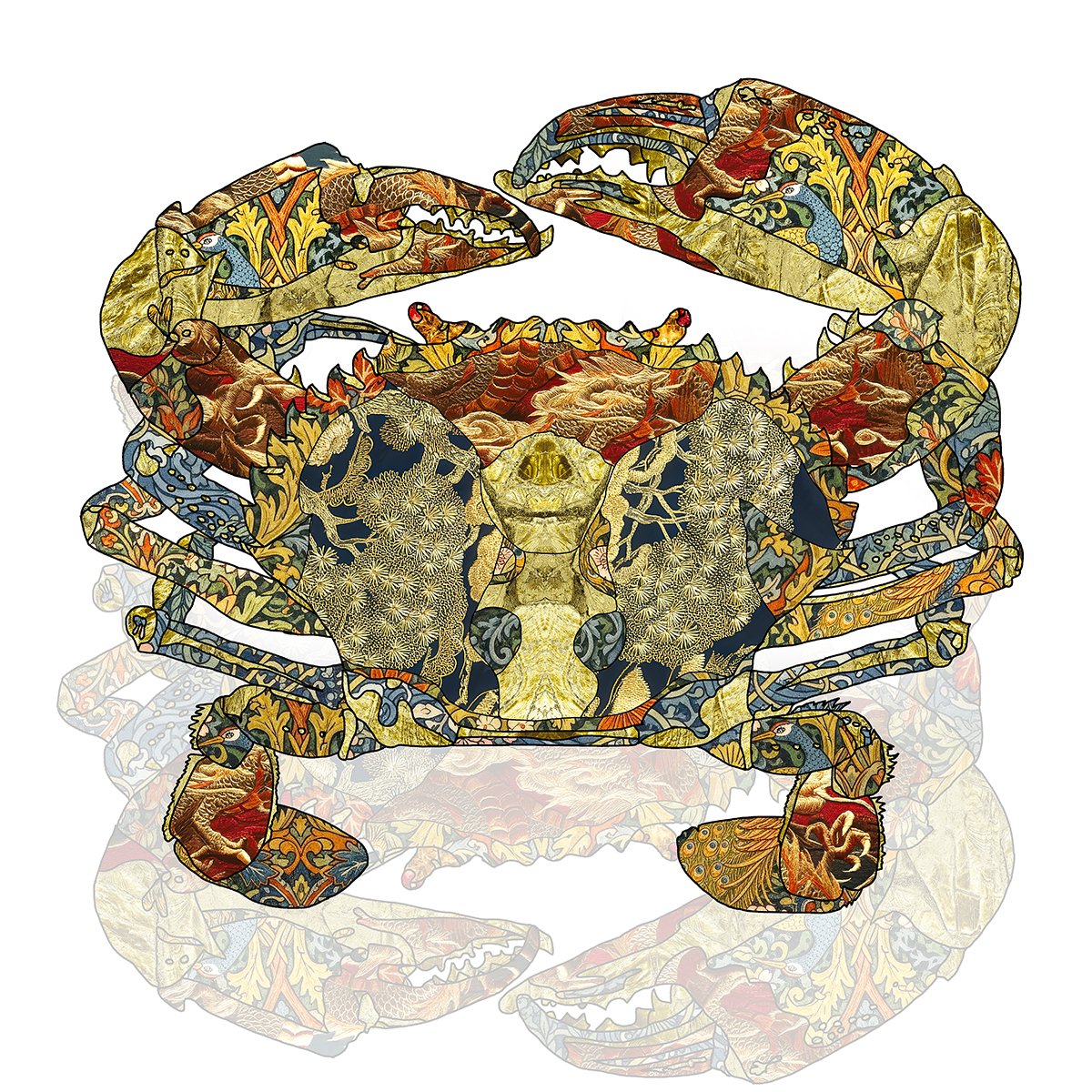 MudCrab41.jpg