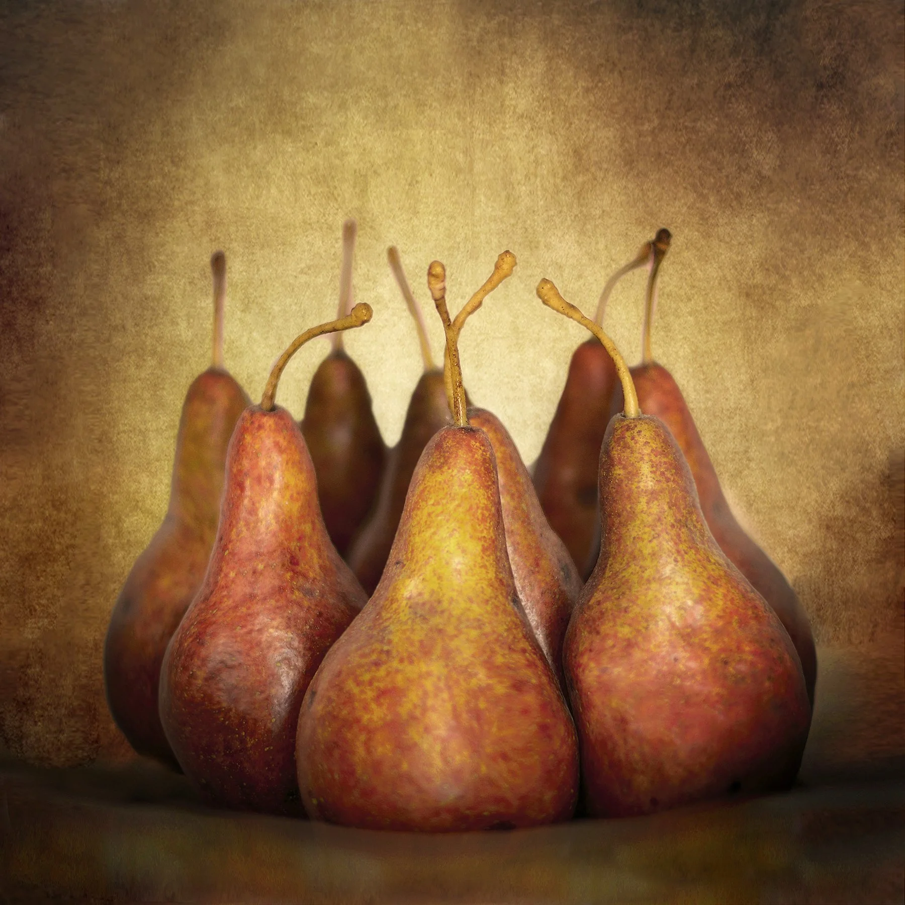 BoscPears283abcde.jpg