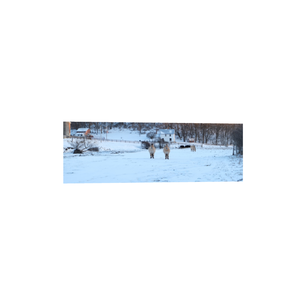 ptq_1_2_0_881_4896_1632_0_false_ffffff_0_0_.png