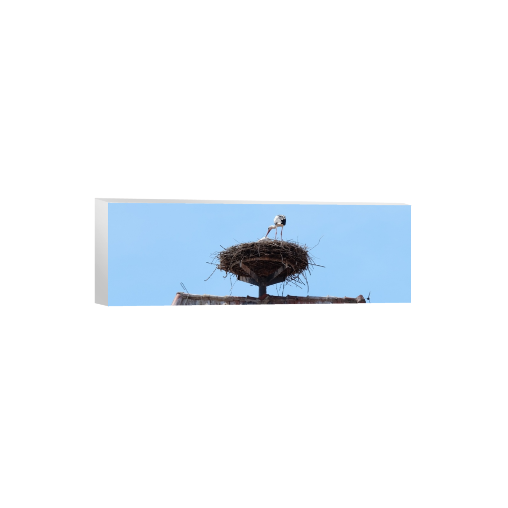 ptq_7_2_0_304_3264_1088_0_false_ffffff_0_0_.png