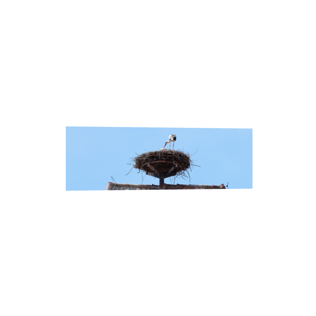 ptq_1_2_0_304_3264_1088_0_false_ffffff_0_0_.png