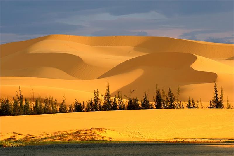 sand-dunes-in-bau-trang-787.jpeg