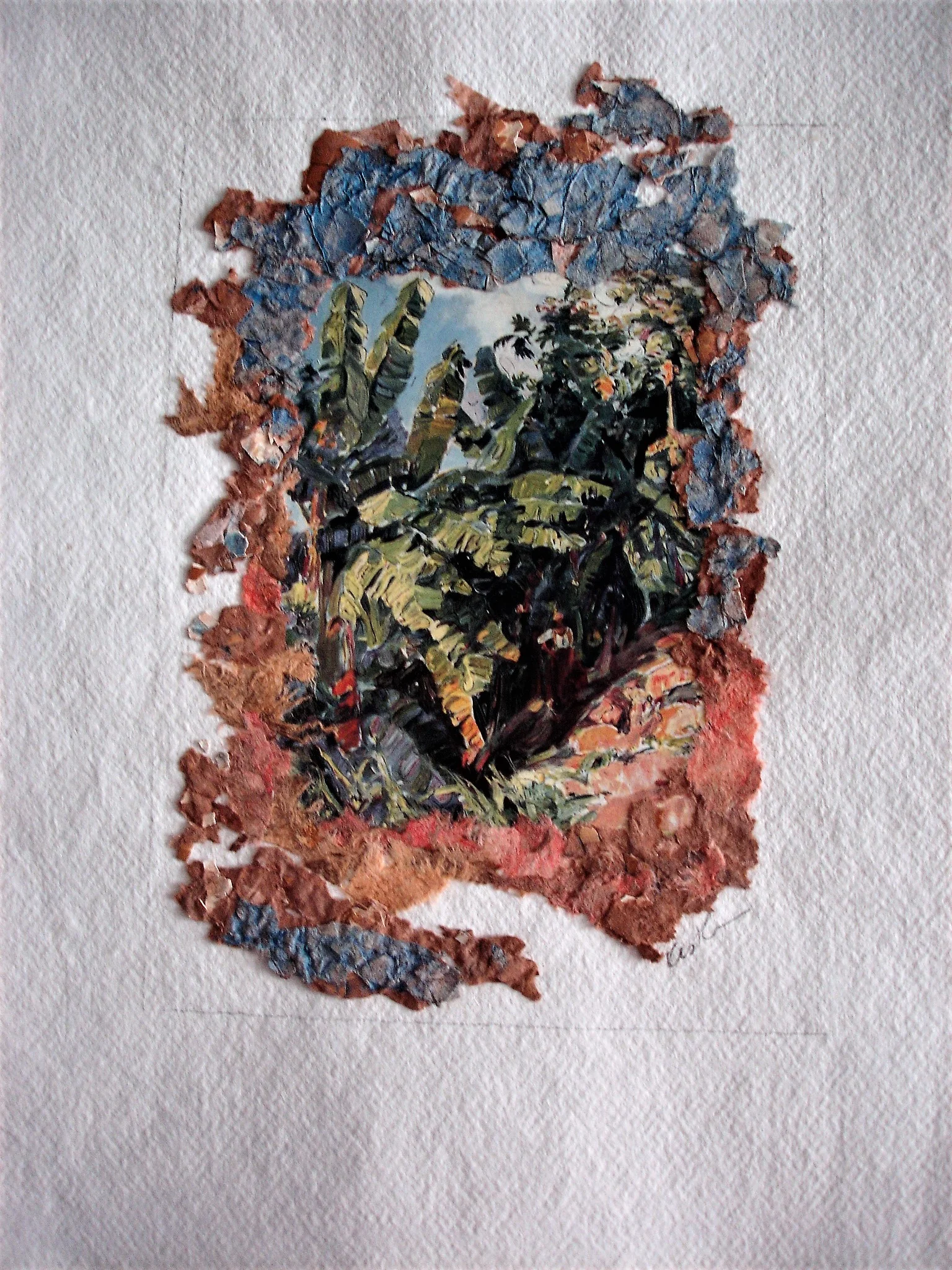 Elsewhere Caribbean Forest