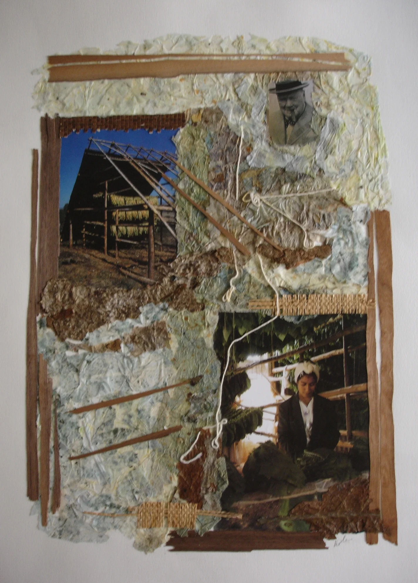 Cigar Tobacco Fields