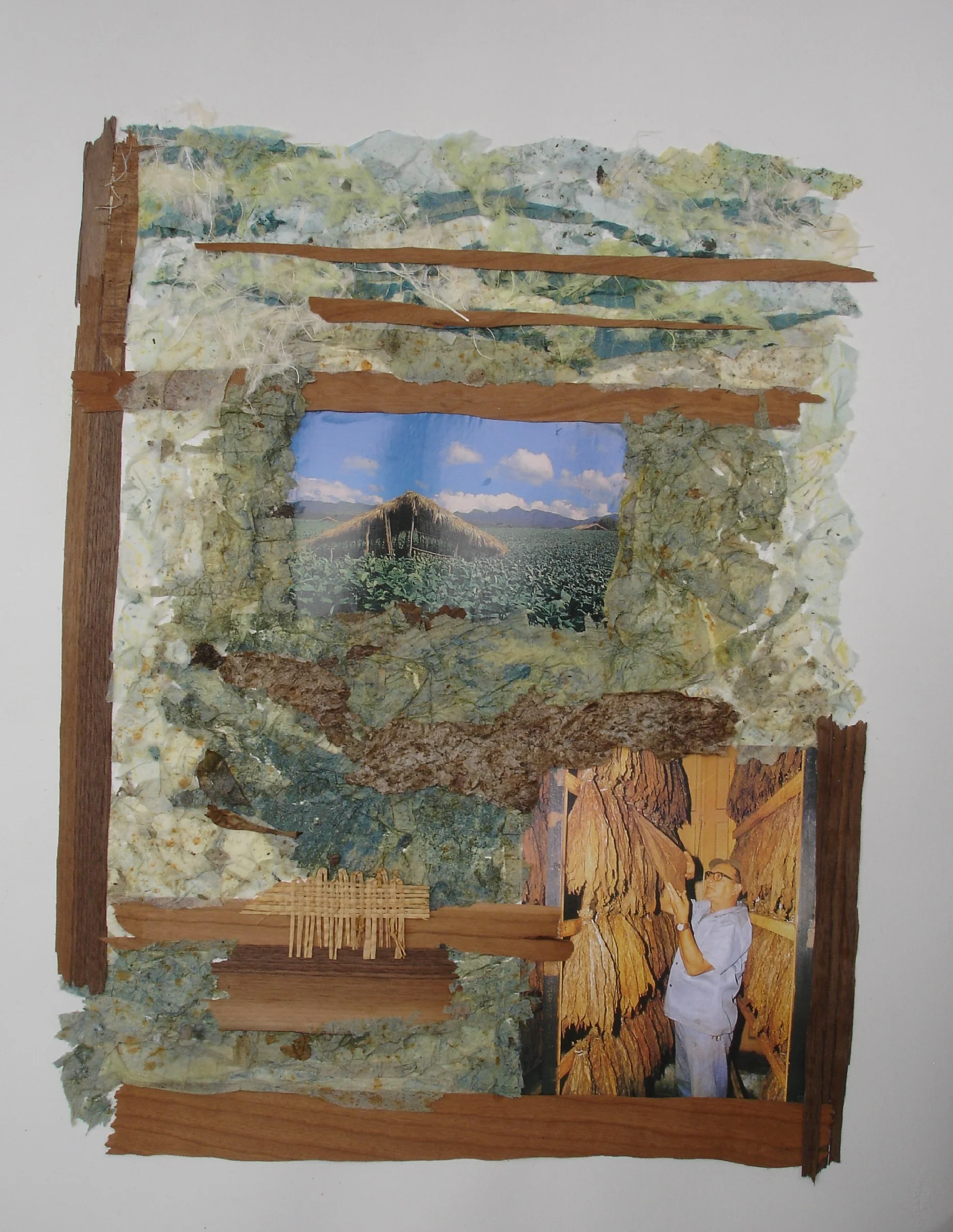 Tobacco Leaves i.JPG