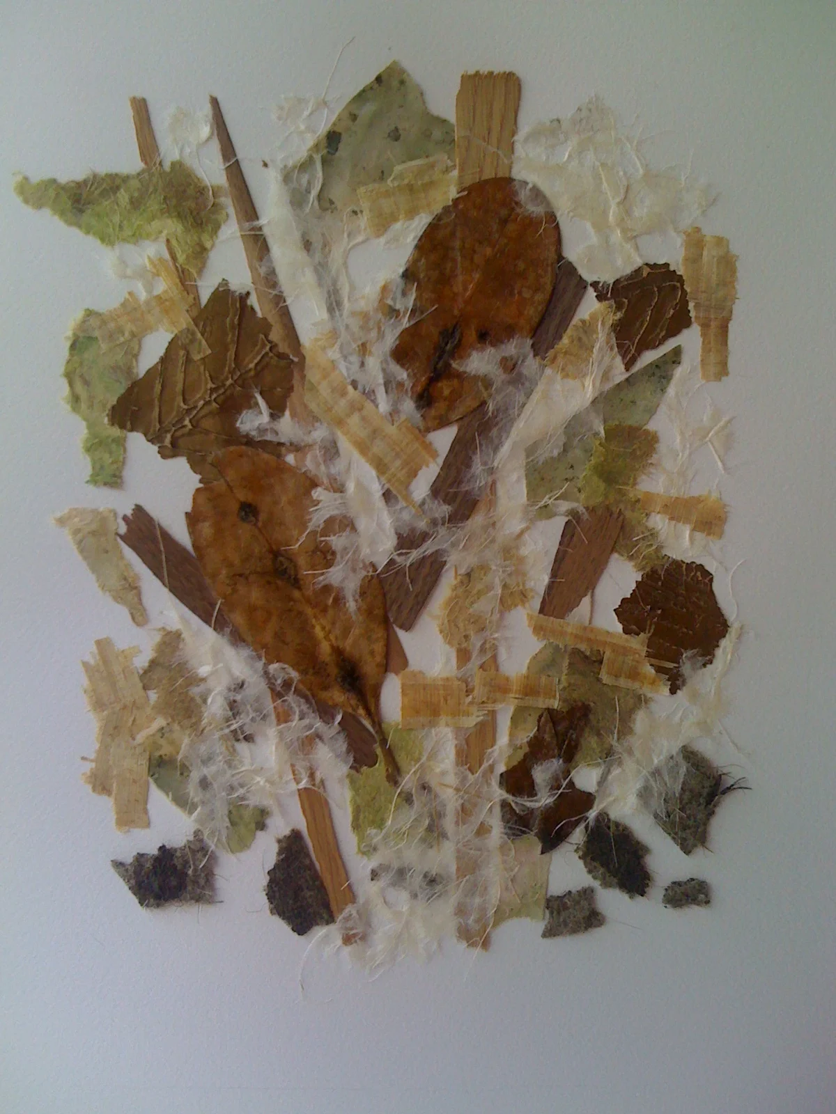 Leaves in Autumn i.jpg