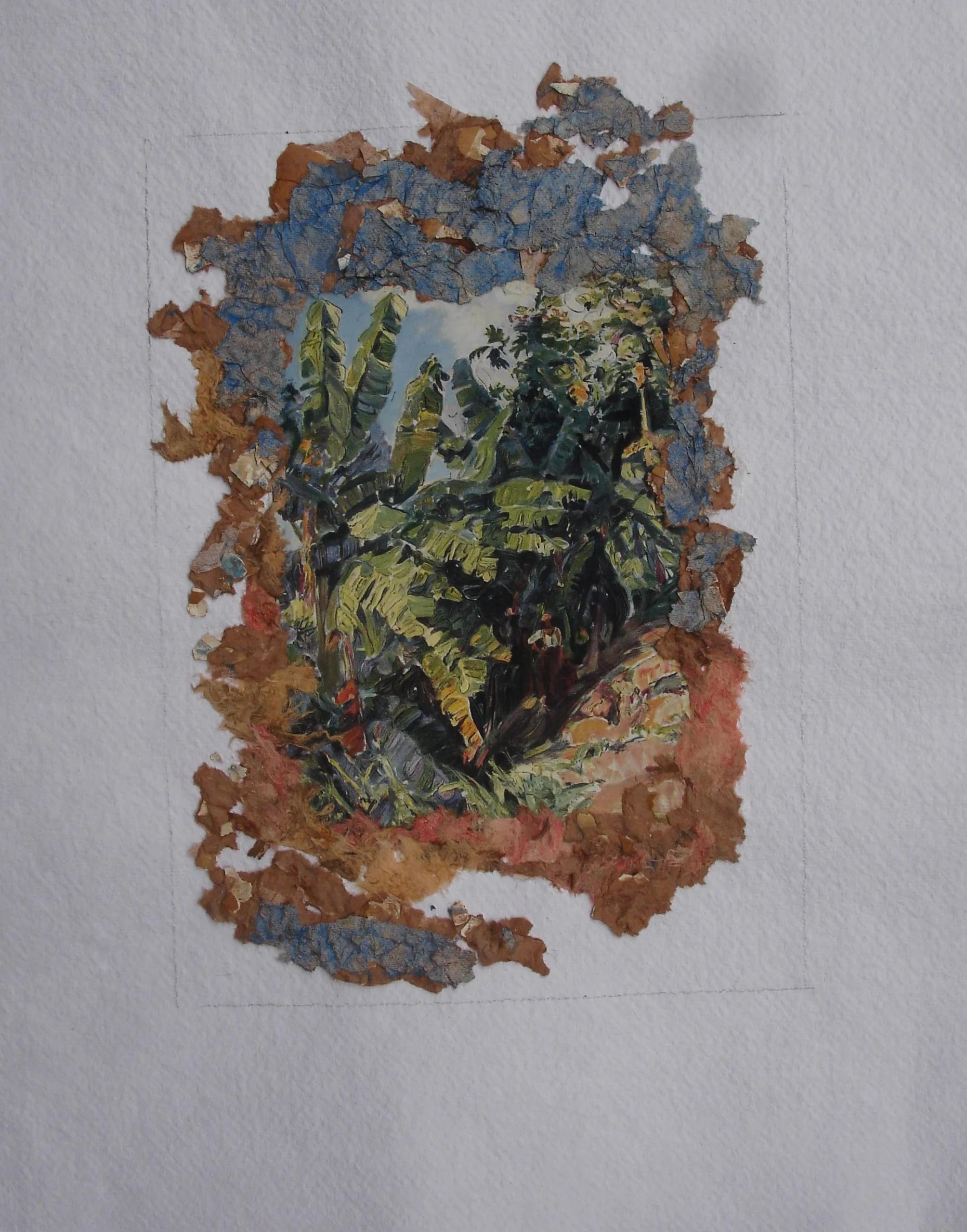 Caribbean Forest.jpg