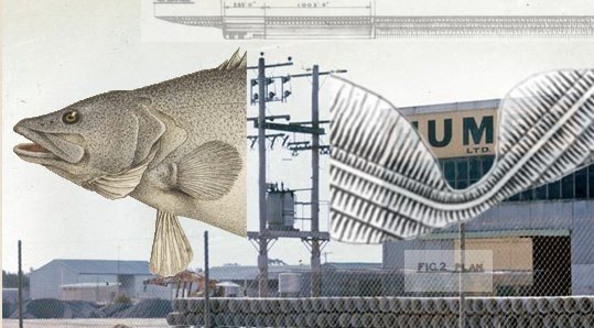 Teaching - The Exquisite Corpse