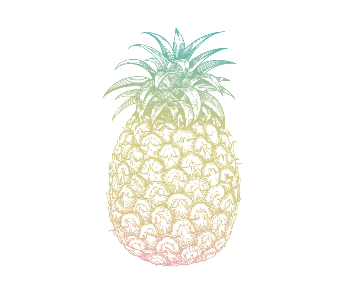 about-pineapple@3x-100.jpg