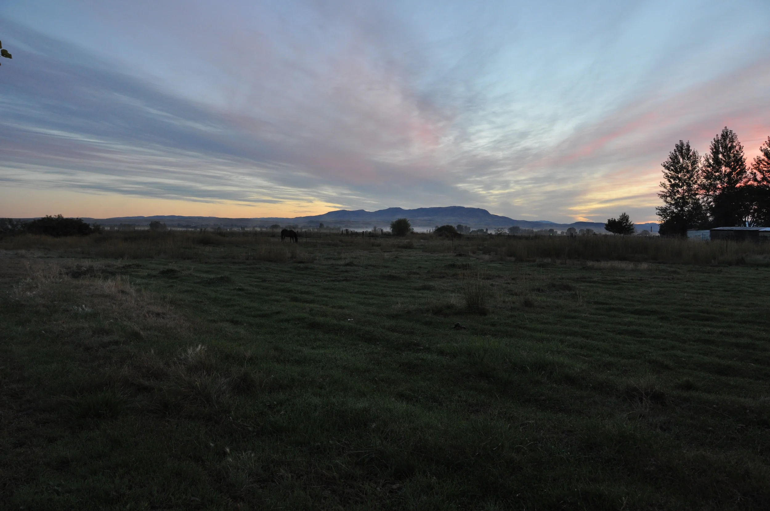 Thank You to RFJ's Volunteers and Donors