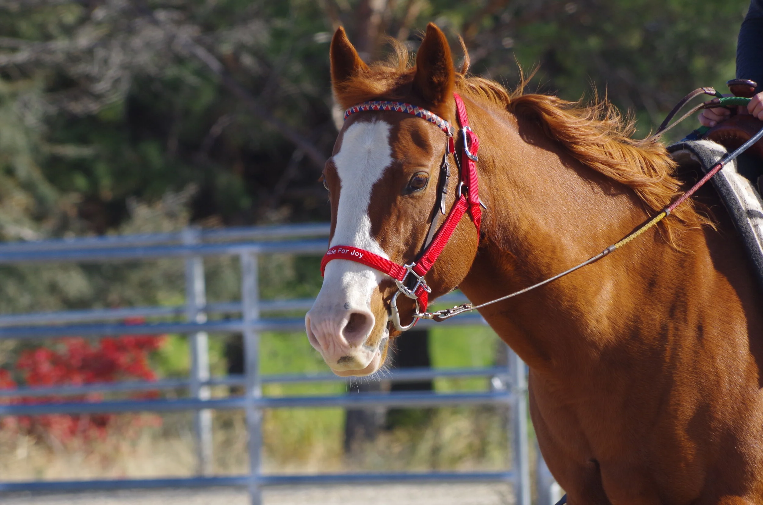 TENTATIVE Summer Session Week 4