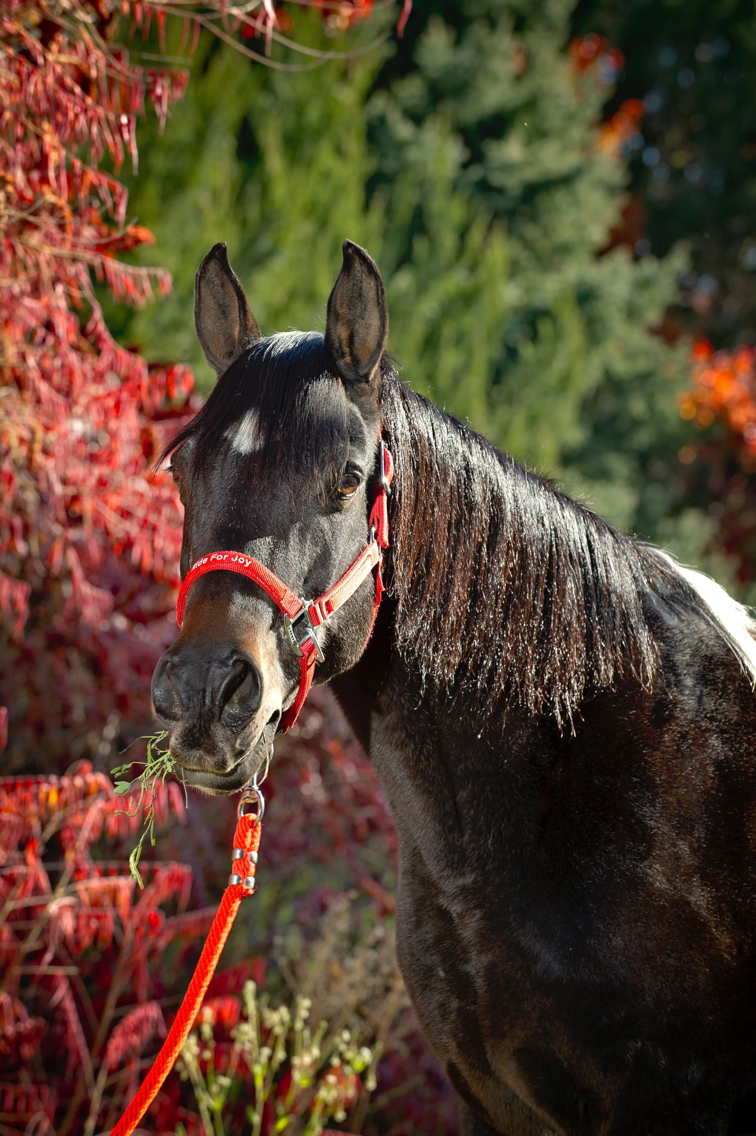 Summer Session Week 1