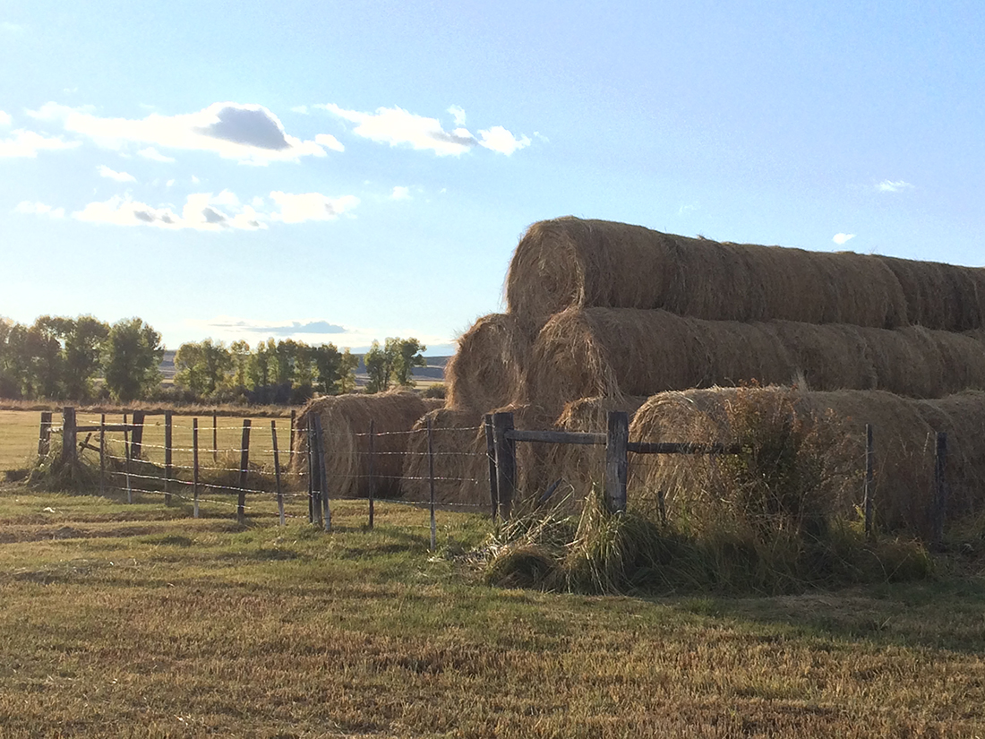 hay bale2.jpg