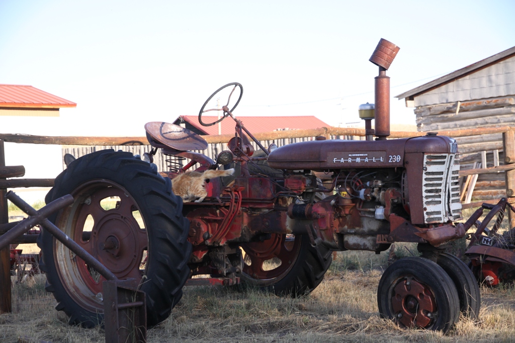 Old tractor.jpg