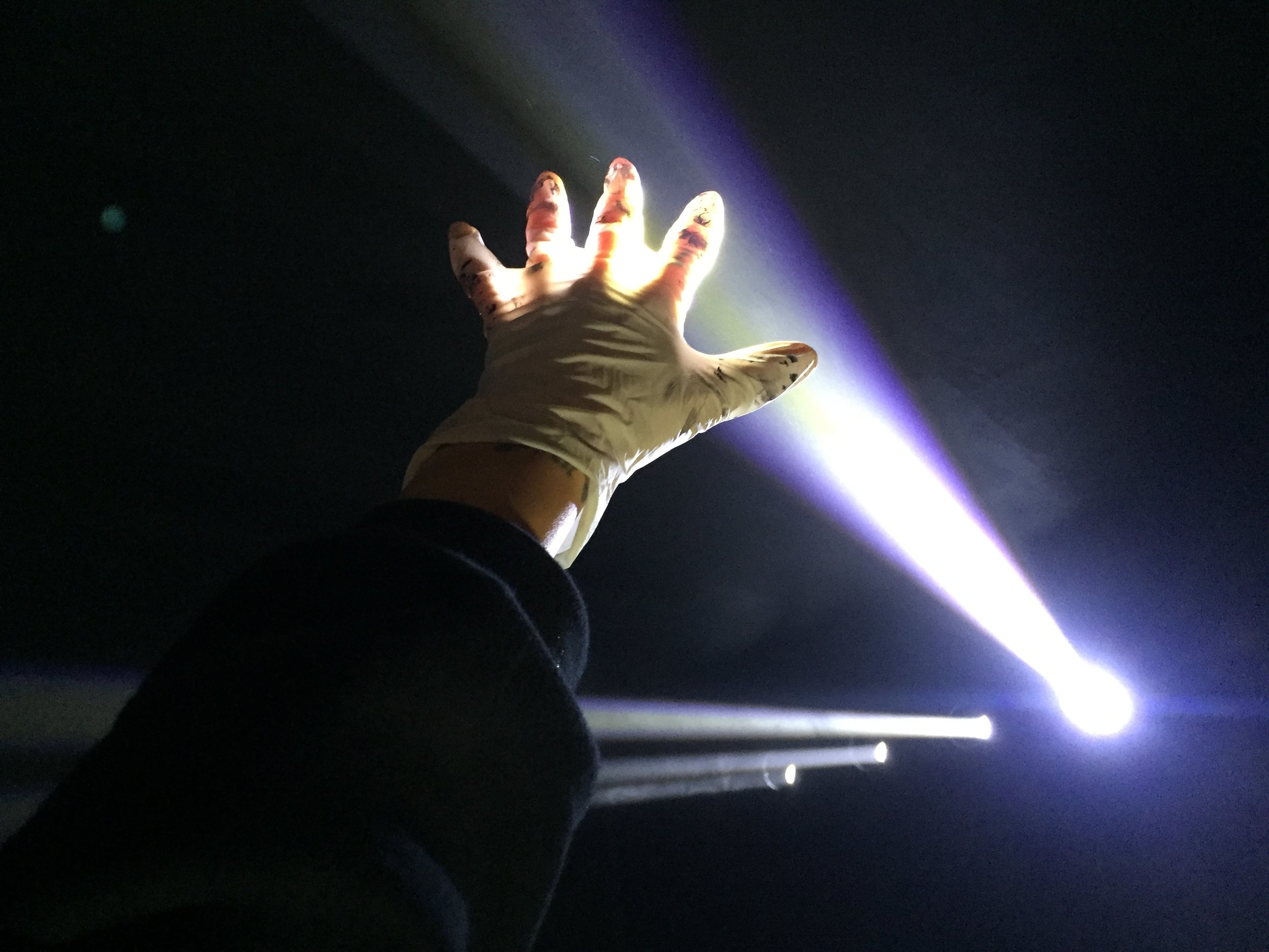 dxd hand in beam.jpeg