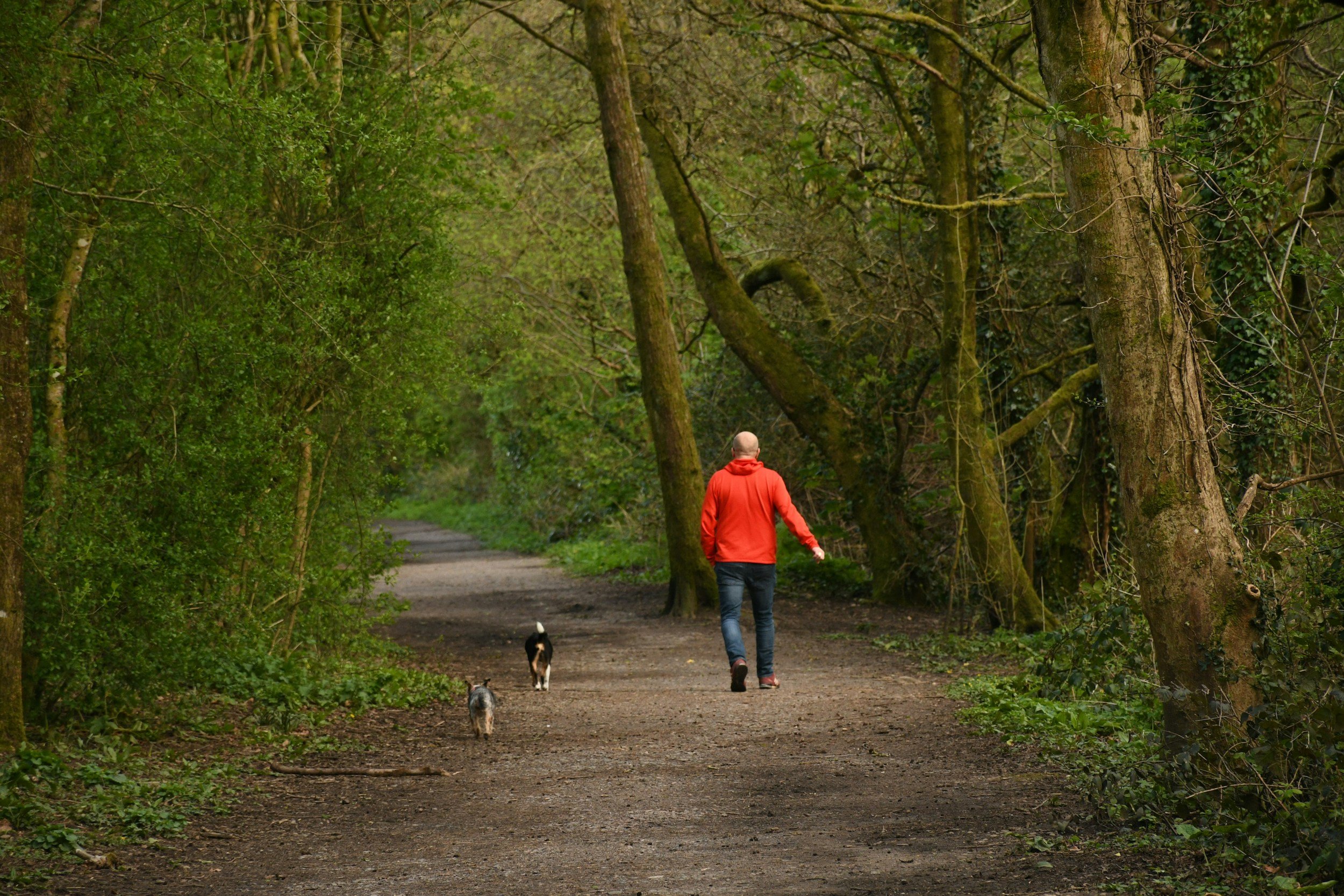 Get Outside This Summer: Gilchrist Foundation Supports the Great Outdoors