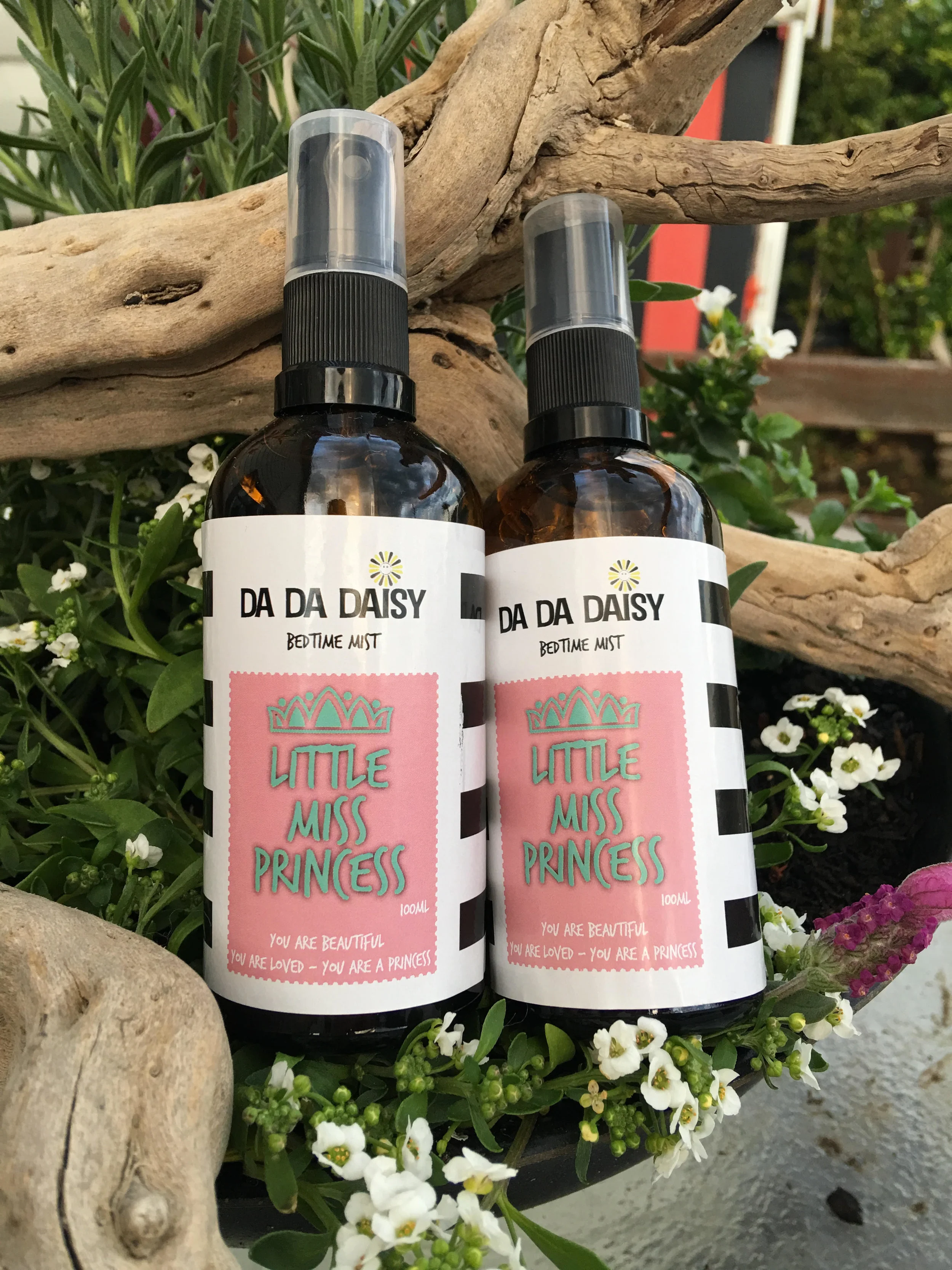 LITTLE MISS PRINCESS