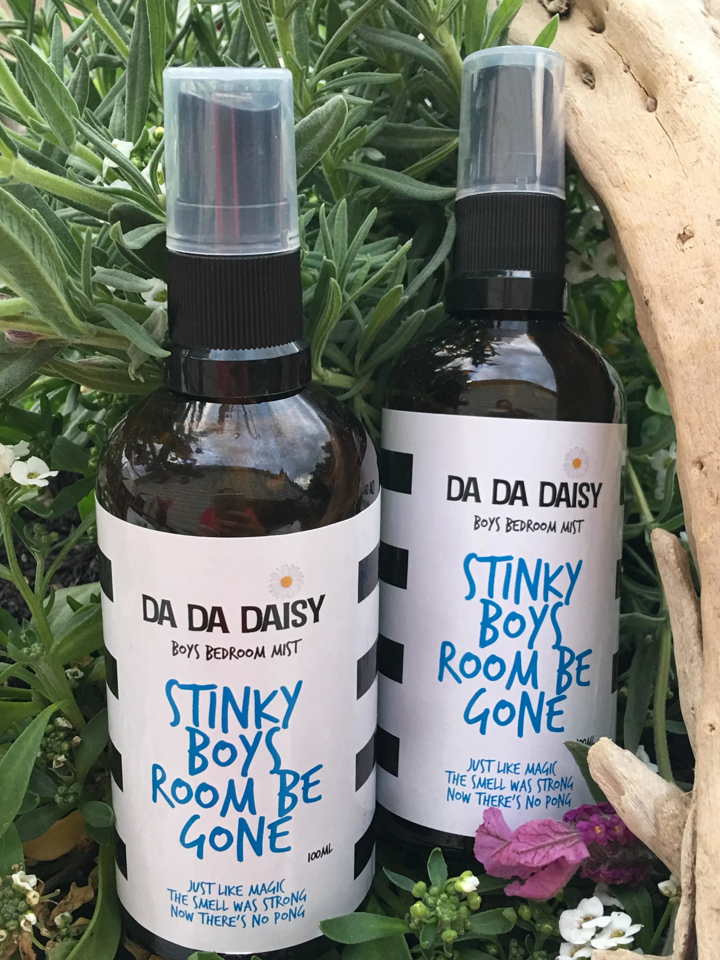 STINKY BOYS ROOM BE GONE 