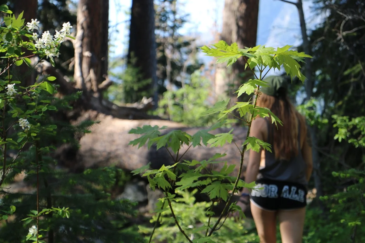 lake-wenatchee-state-park-leavenworth-camping - 27