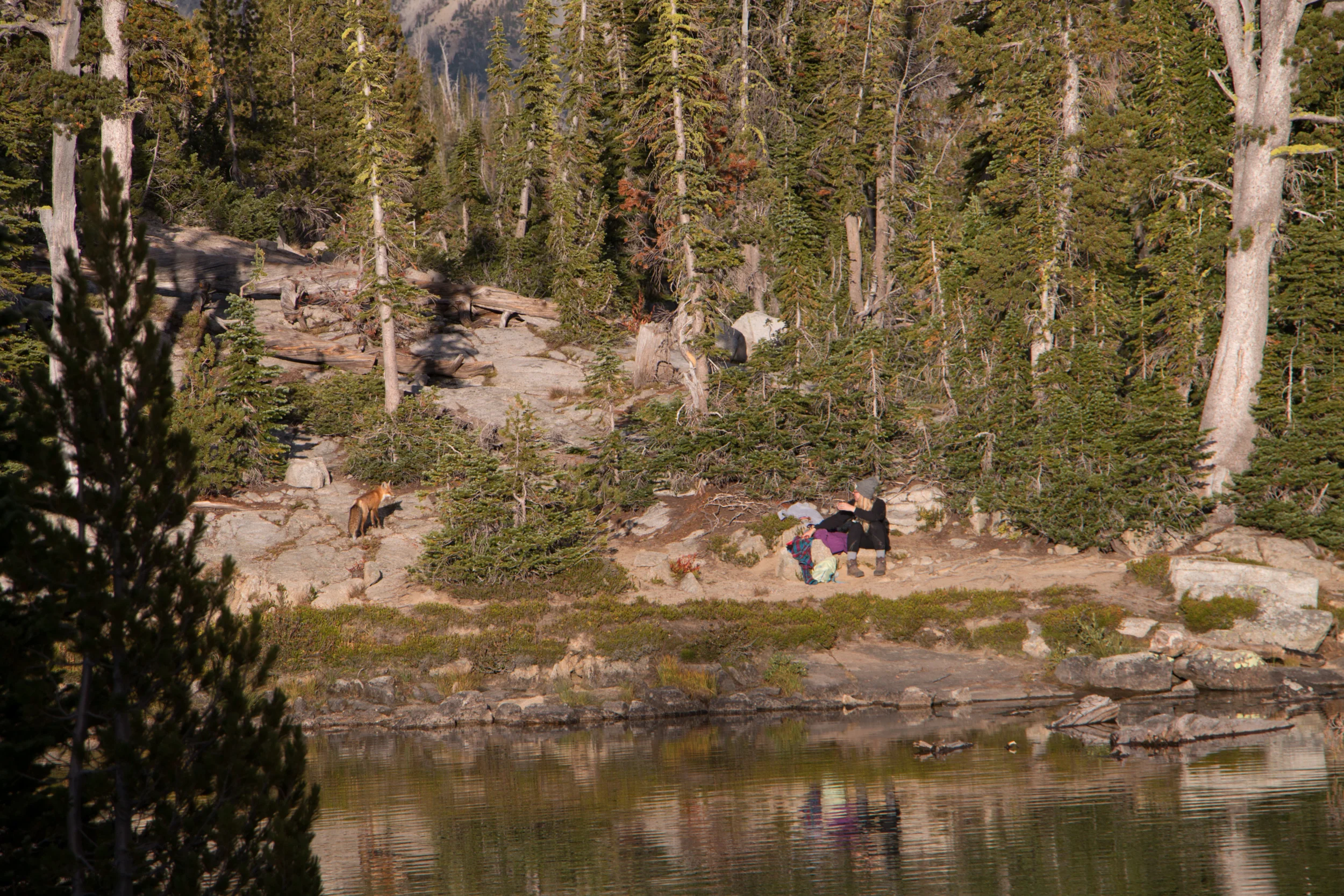 wallowas-backpacking-trip-2018-0233.jpg