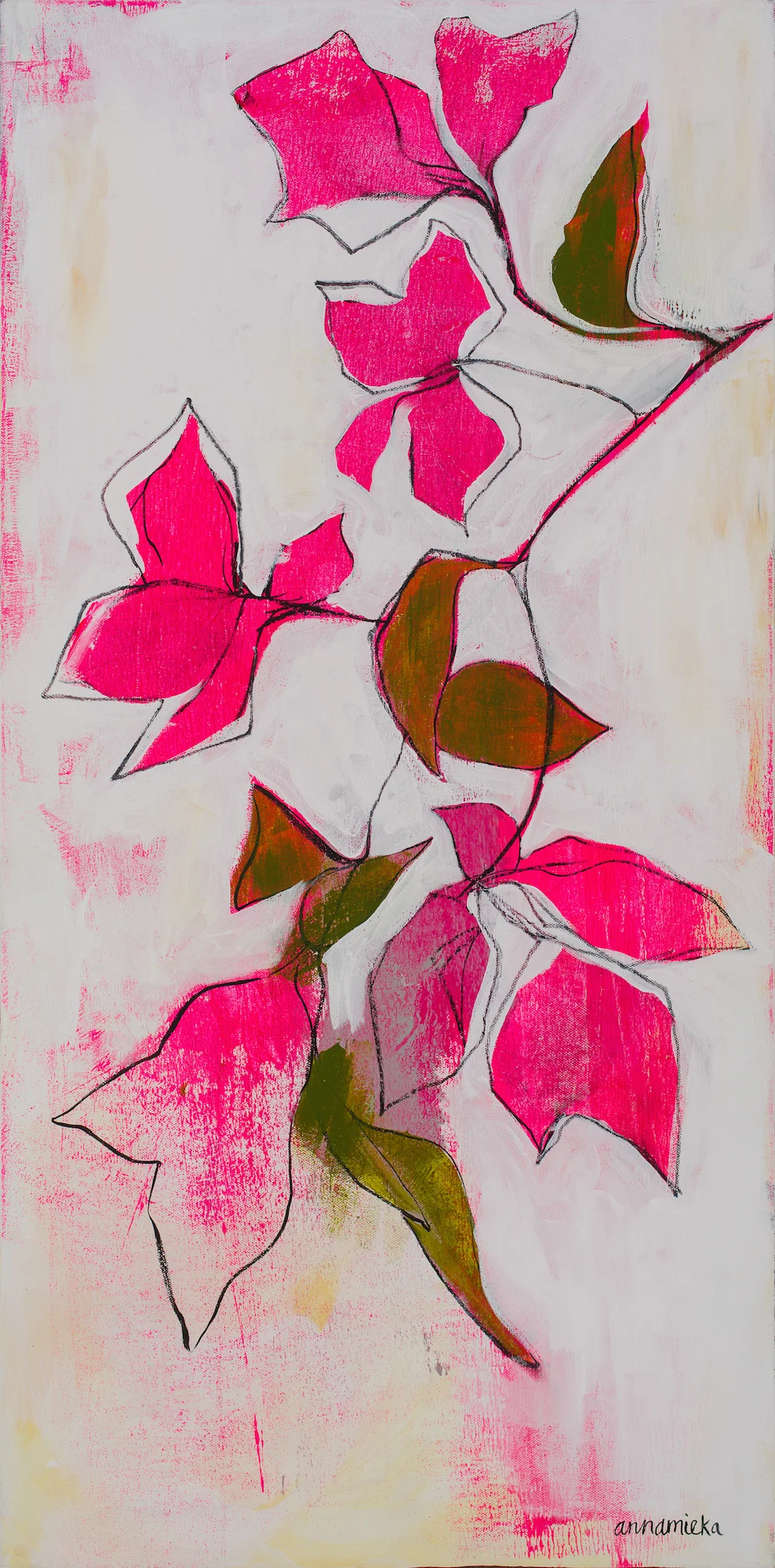 Bougainvillea Bliss 2017 Web Size 2000.jpeg