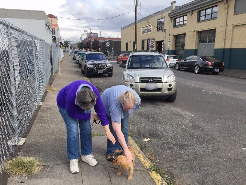 She Stops Traffic With Her Joy