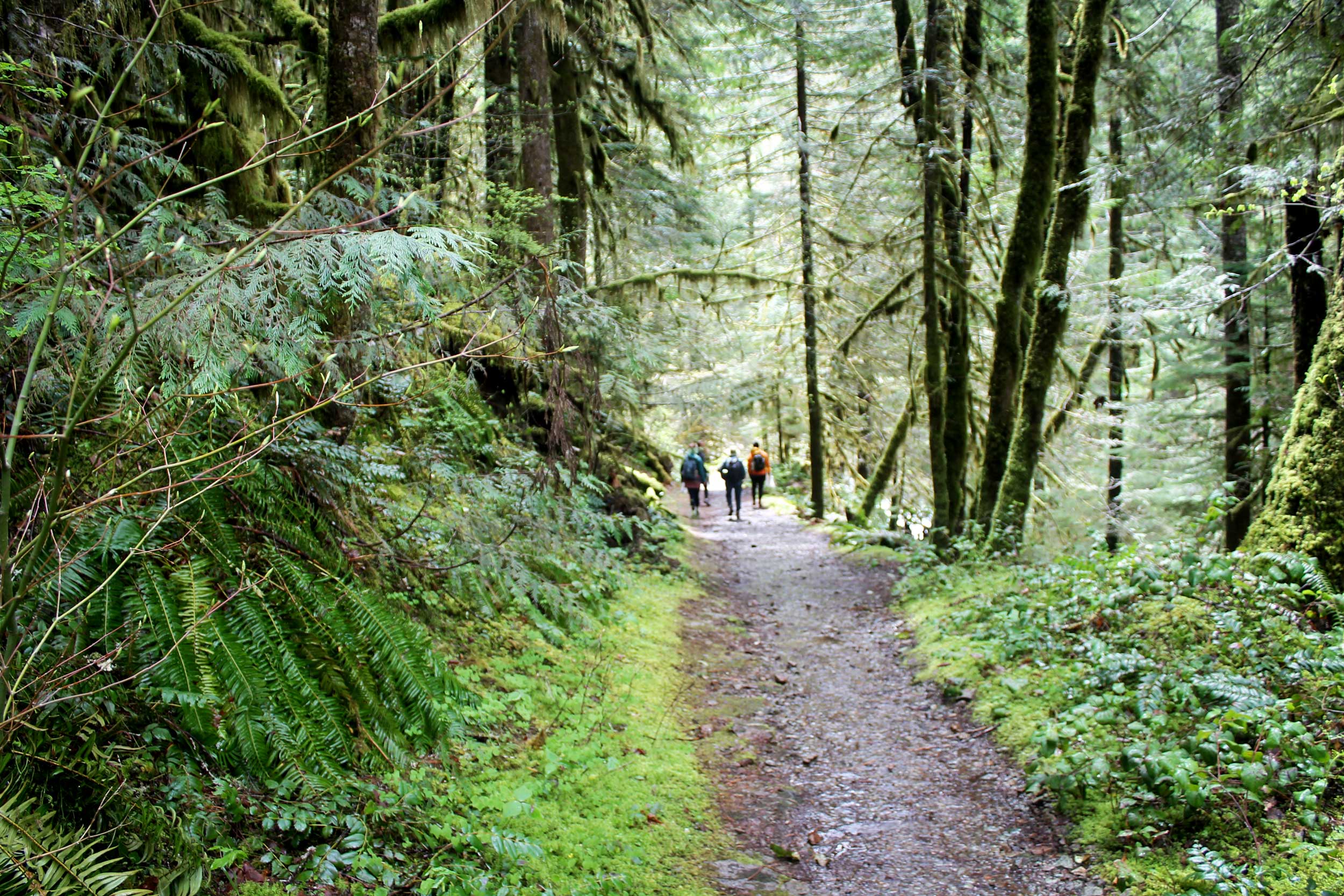 IMG_2064-resized-Opal-Creek-Trail (2).jpg