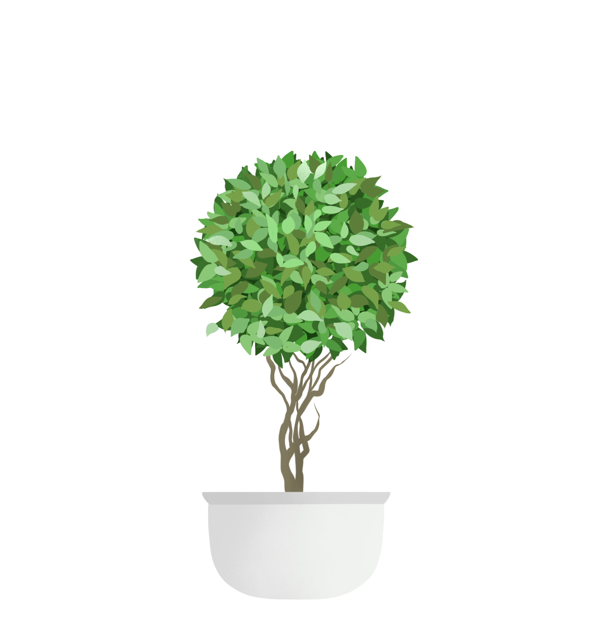 Untitled_Artwork (1).png