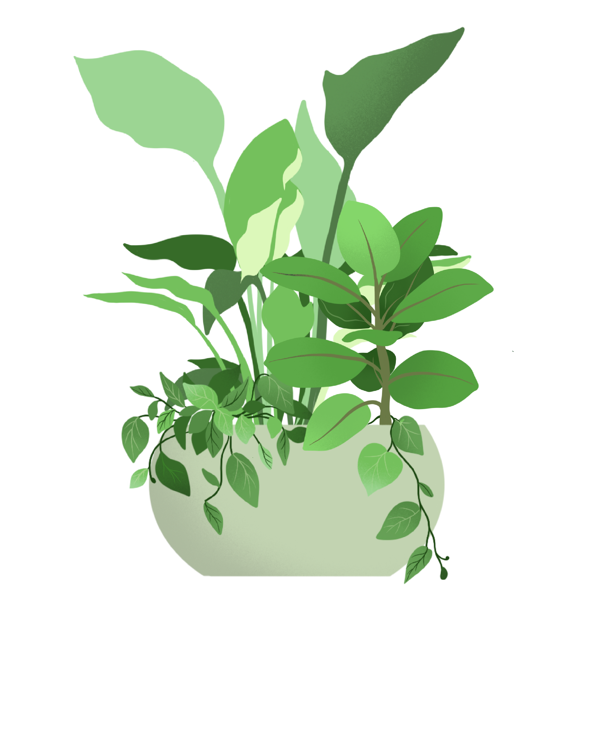 Untitled_Artwork (2).png