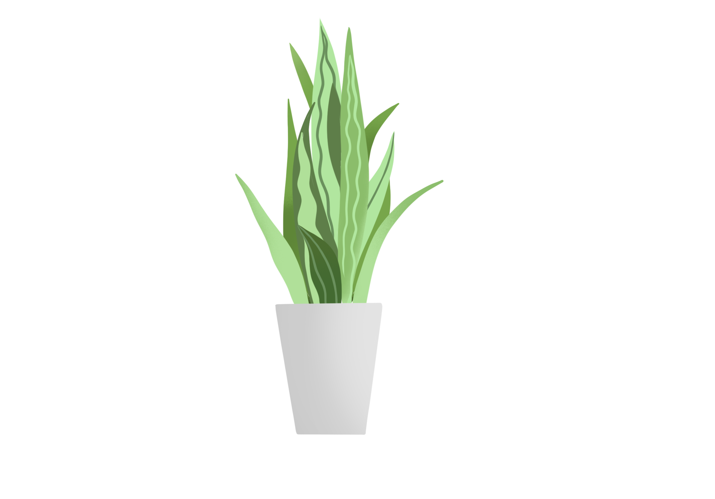 Untitled_Artwork.png
