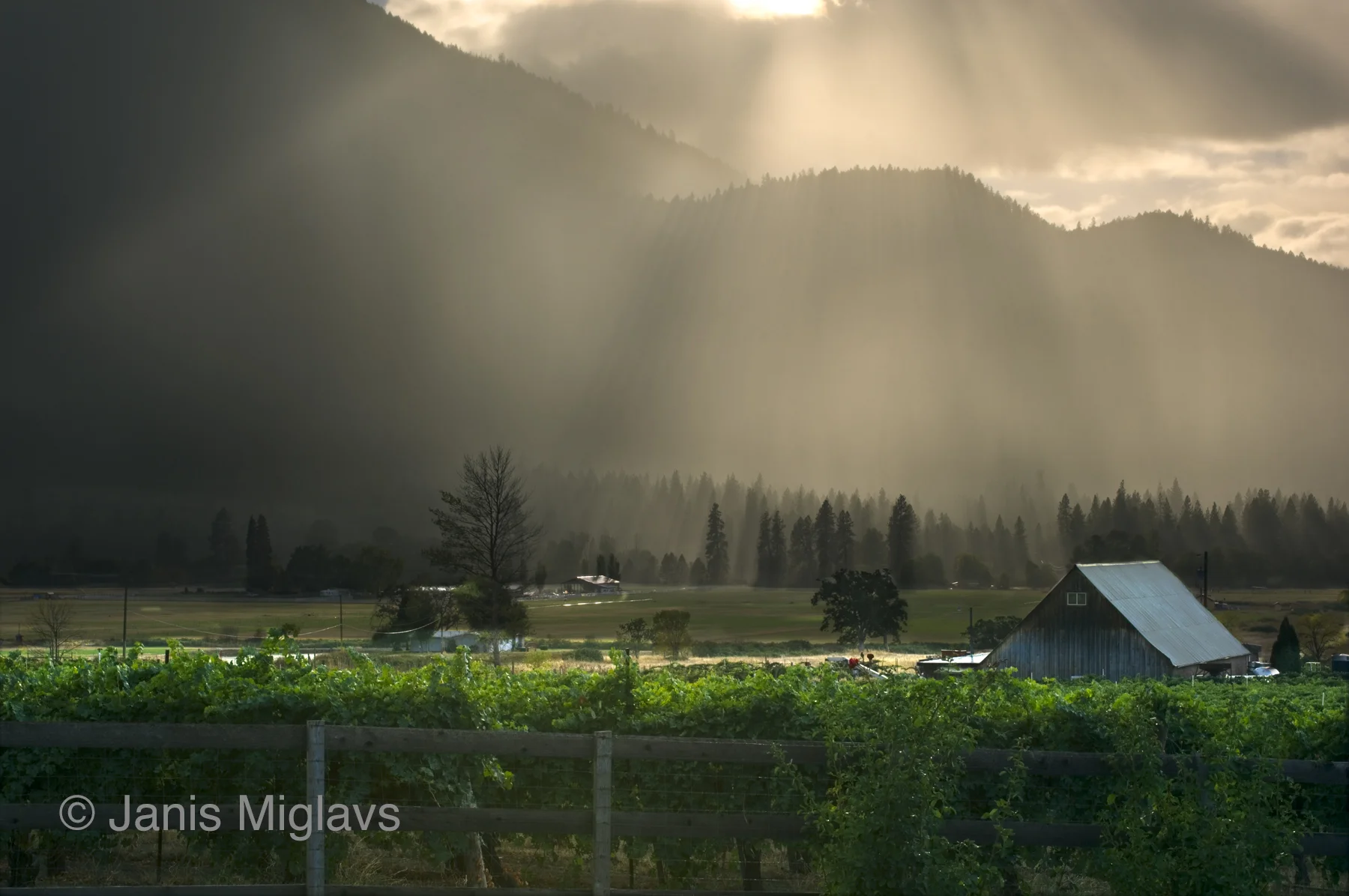 Clearing Storm over S. Oregon Vineyard