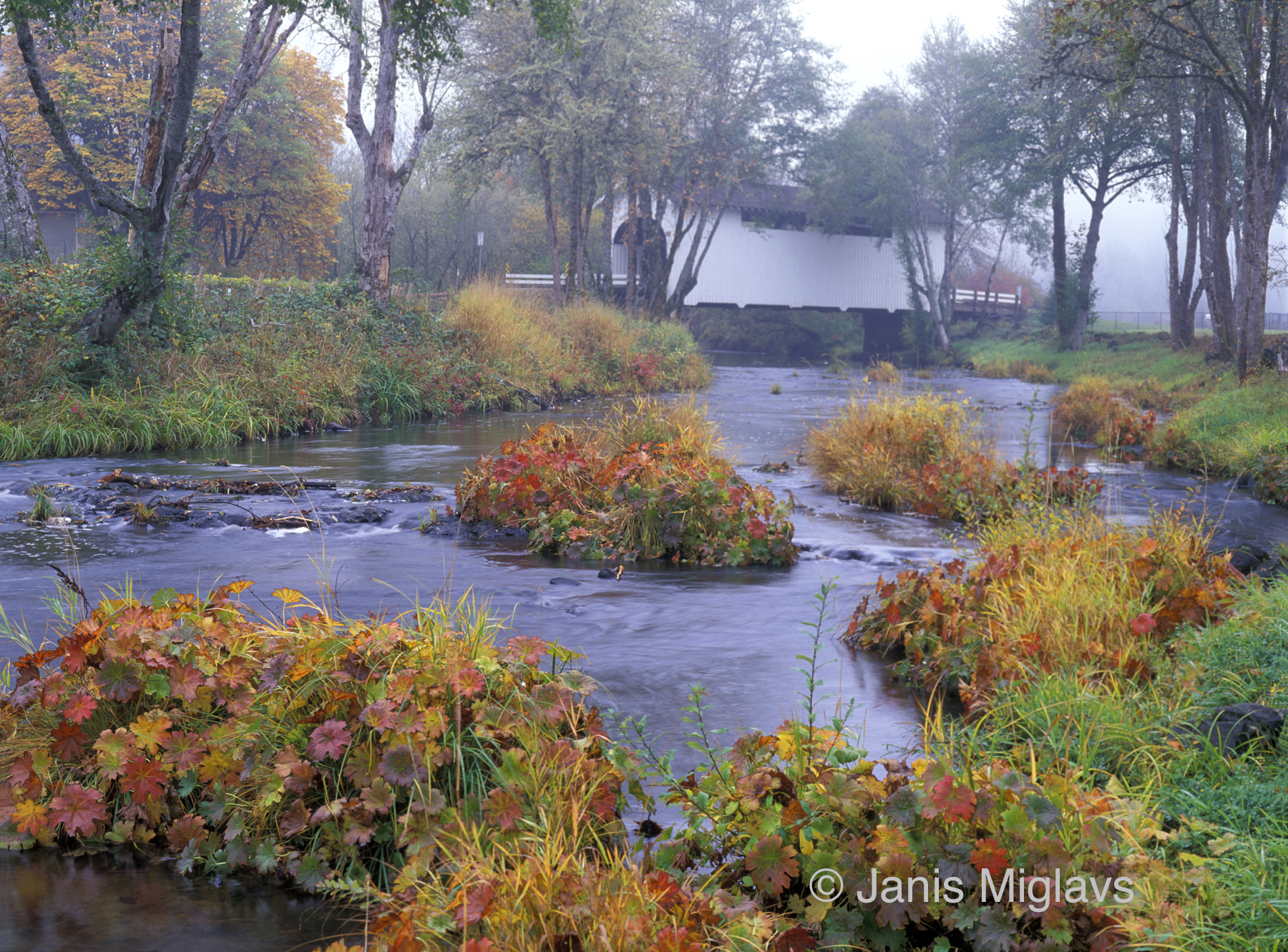 Harris Covered Bridge