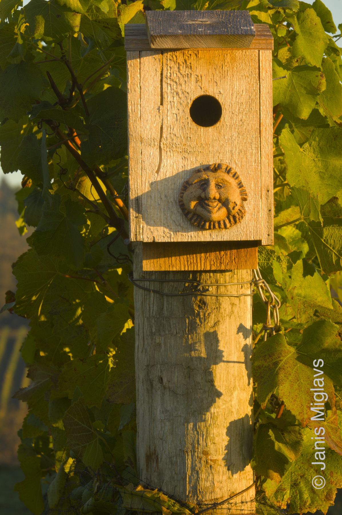 Happy Birdhouse