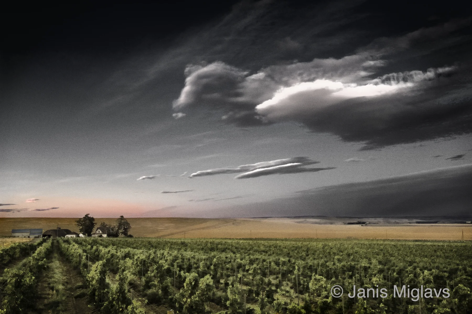 Clouds Over Oregon Walla Walla Vineyard 3