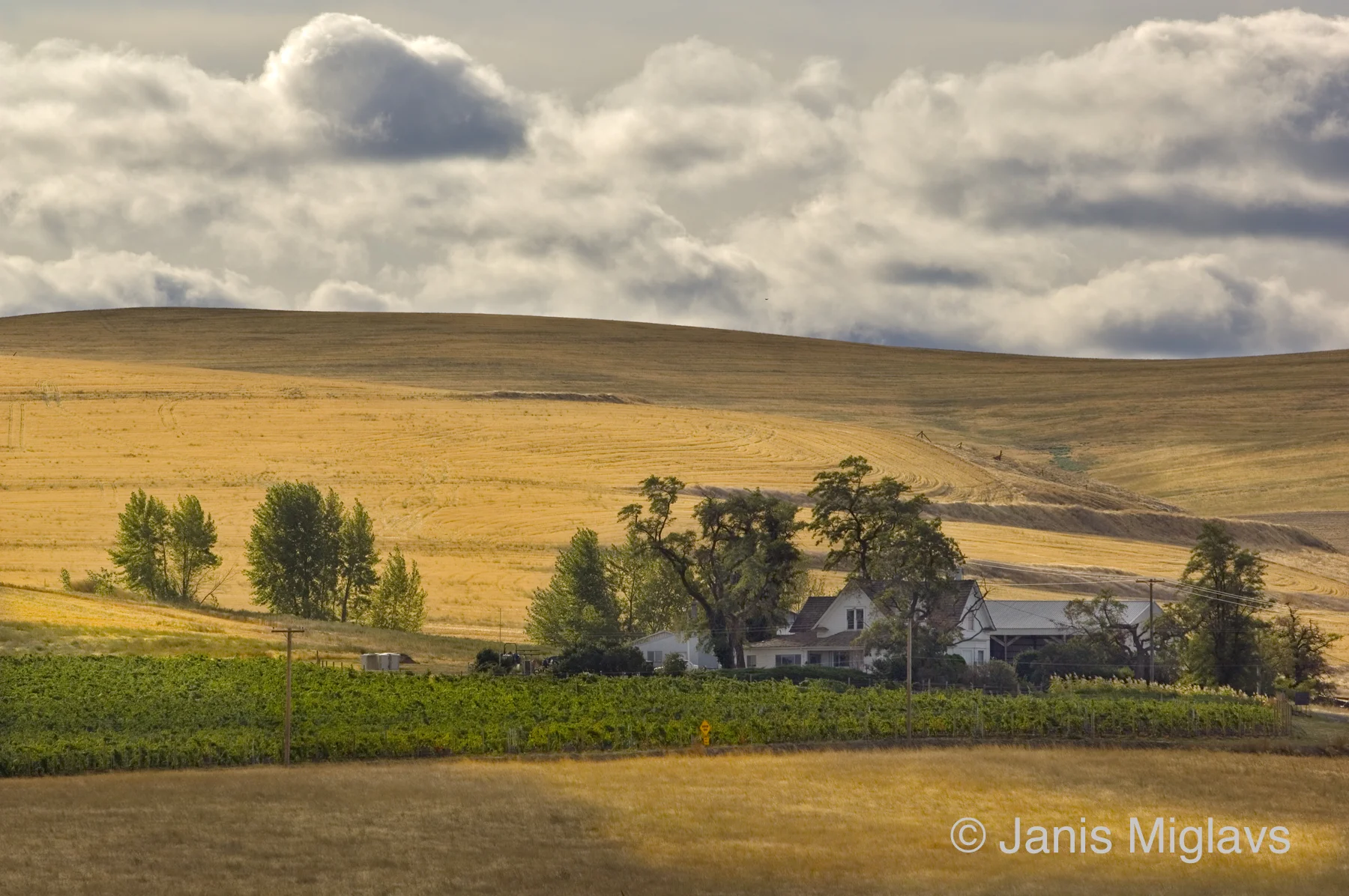 Oregon Walla Walla Farm With Vineyard