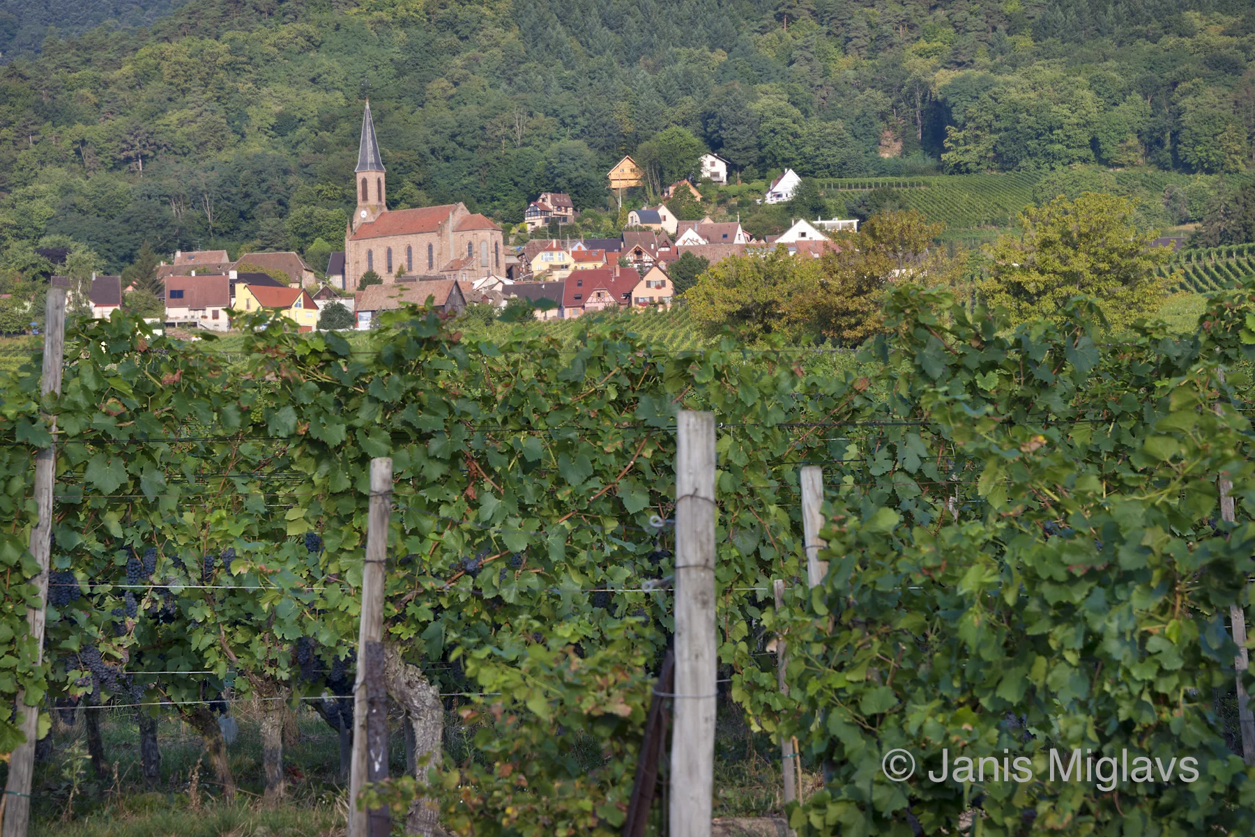 France Husseren les Chateaux Village