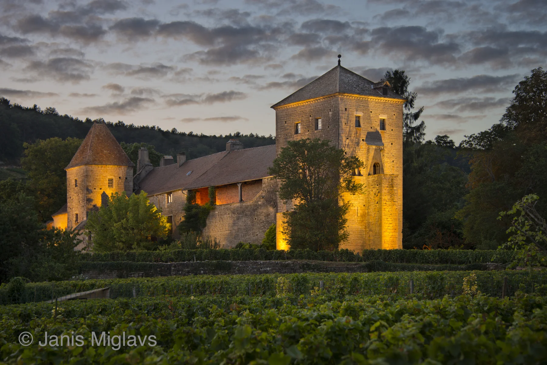 France Chateau Gevrey-Chambertin