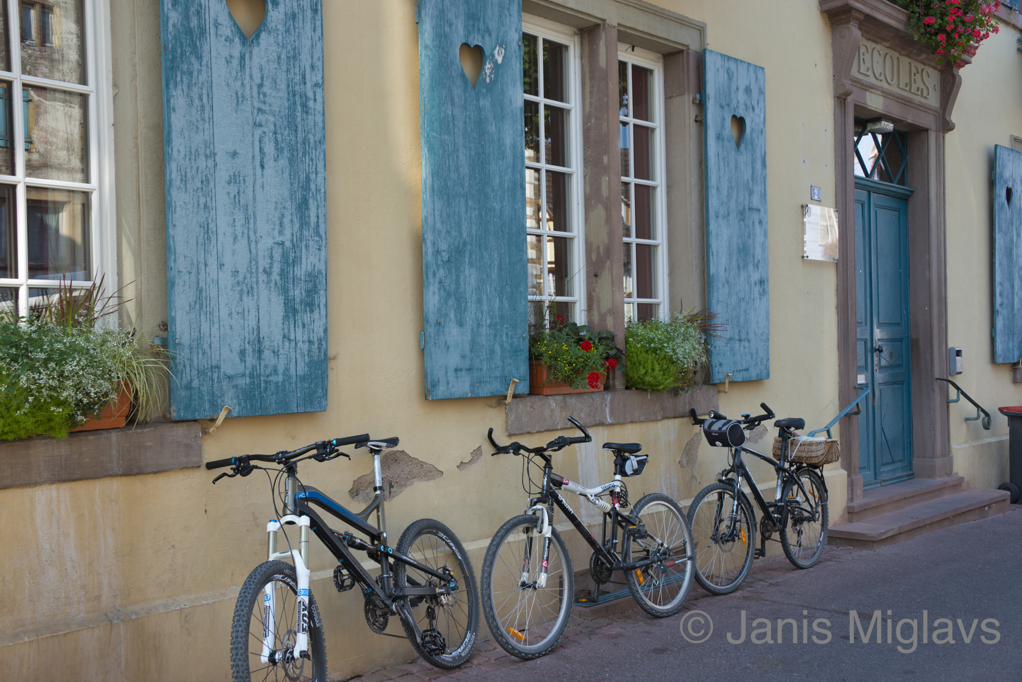 France Bicycles in Equisheim