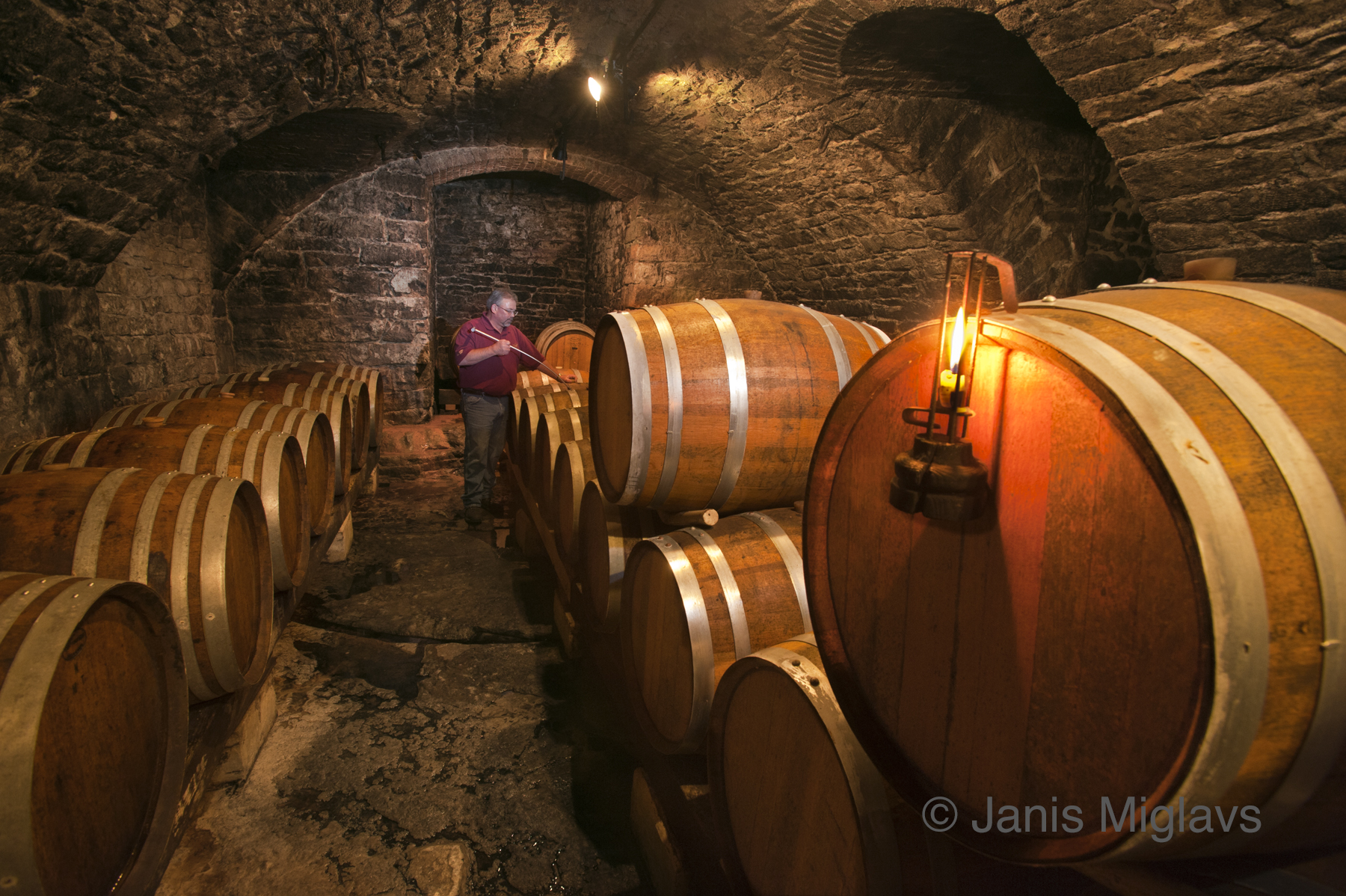 Missouri Hermann Winery Barrel Cellar