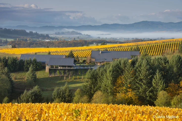 OR-WILM-WINE-WILK-fD29w©.jpg