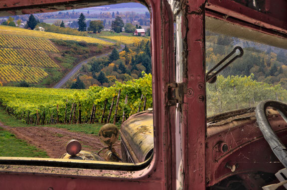 Vintage Cars in the Vineyard