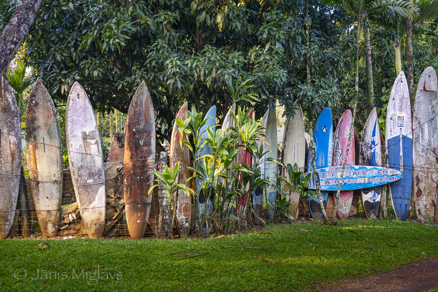 Surfboard Fence near Haiku, Maui 3